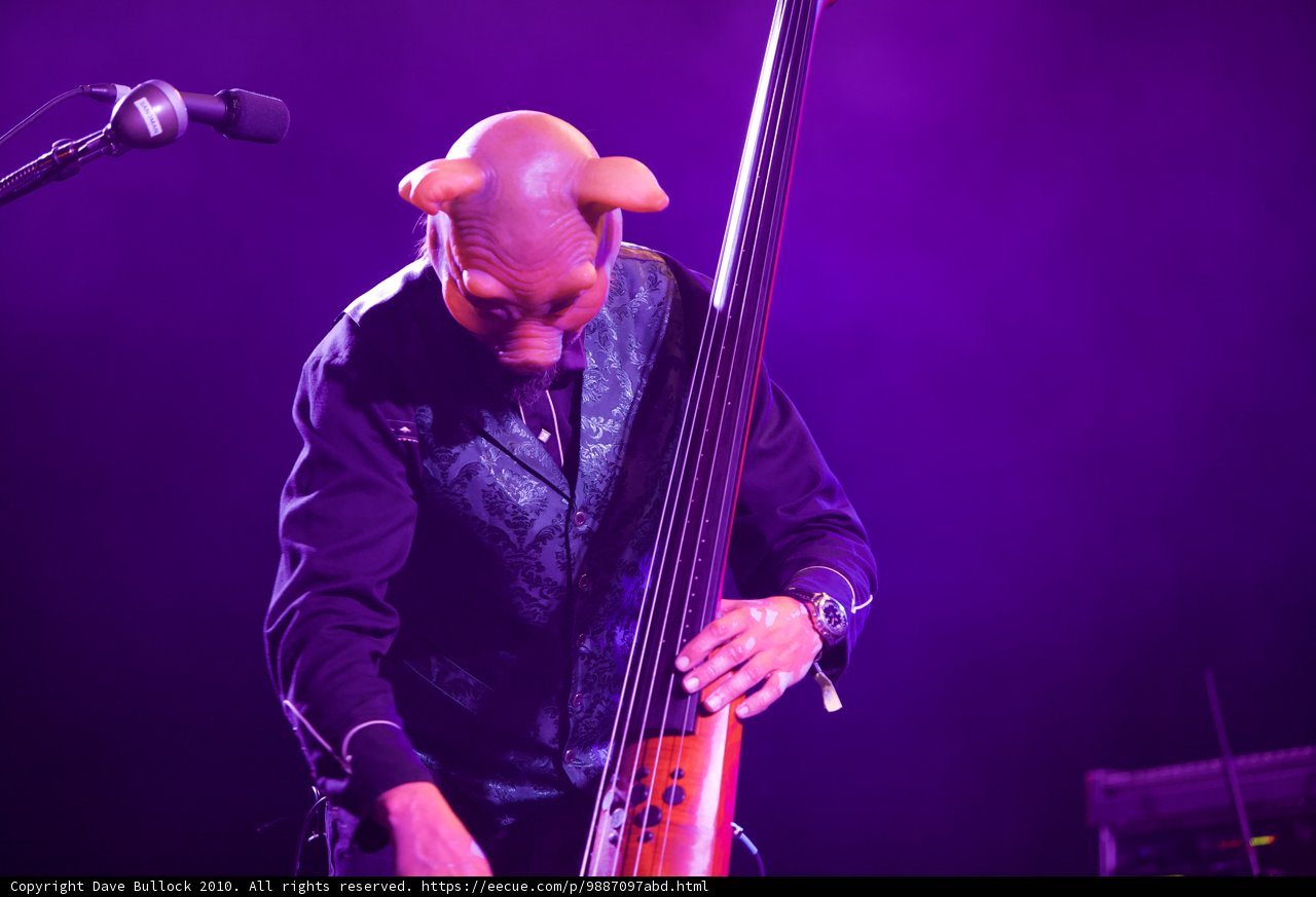 Bassist Serenades Coachella Crowd