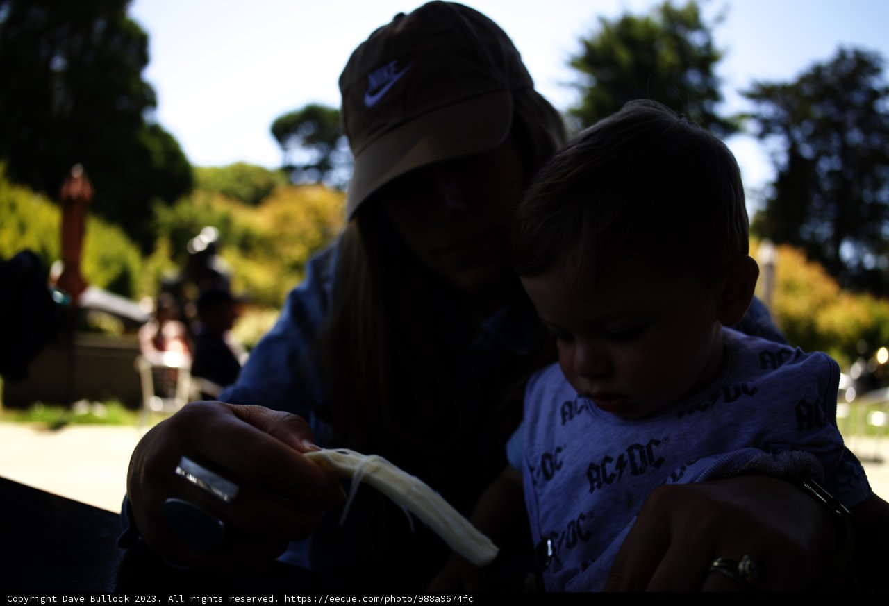 Cherished Moments at de Young Museum, 2023
