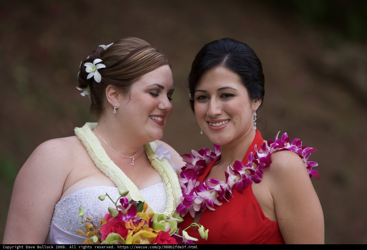Double Bridal Bliss in Hawaii