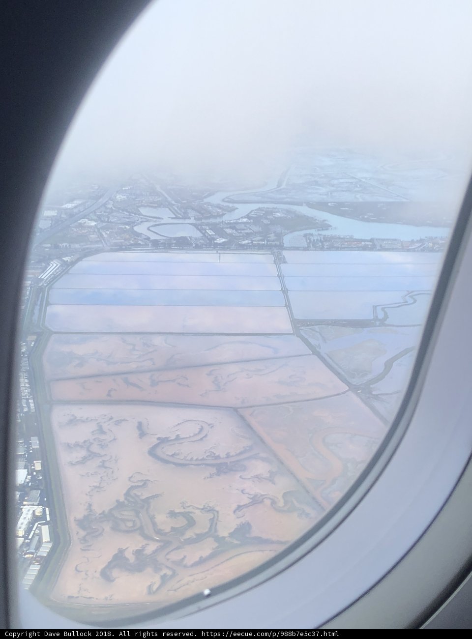 A Bird's Eye View