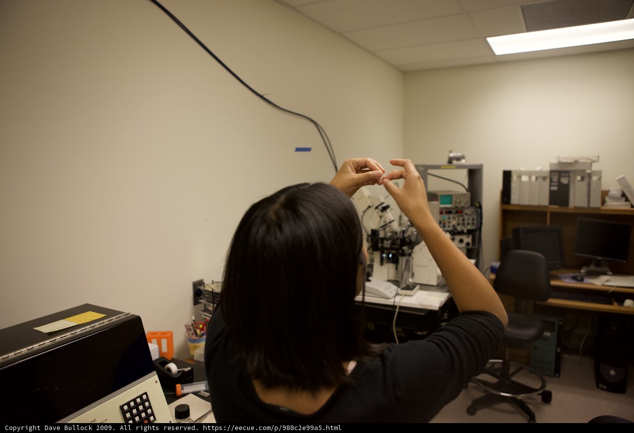 Working Hard at the UCLA Lab