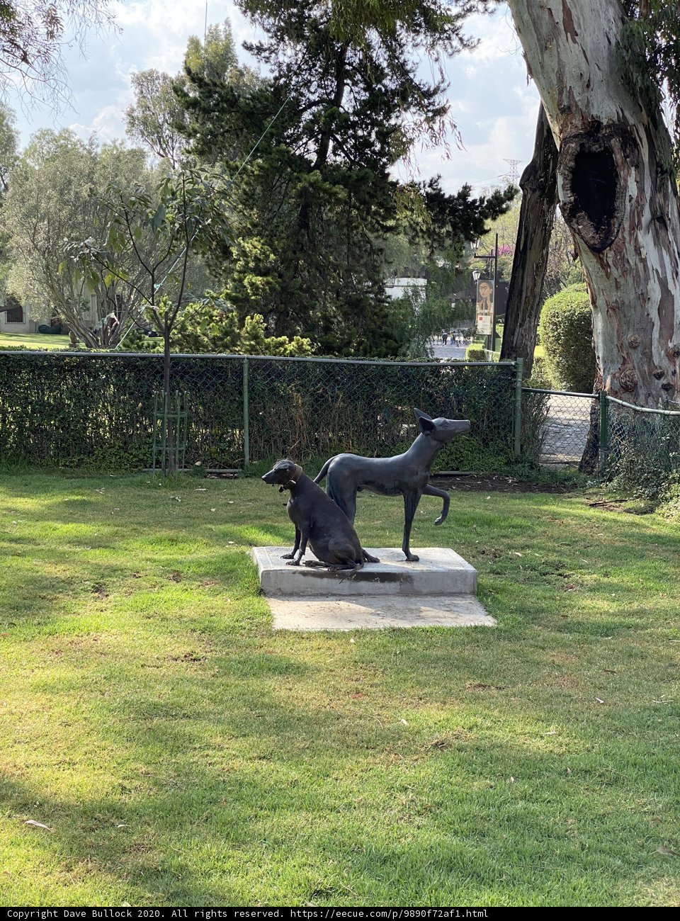 Statue of a Dog and a Horse in Xochimilco Park