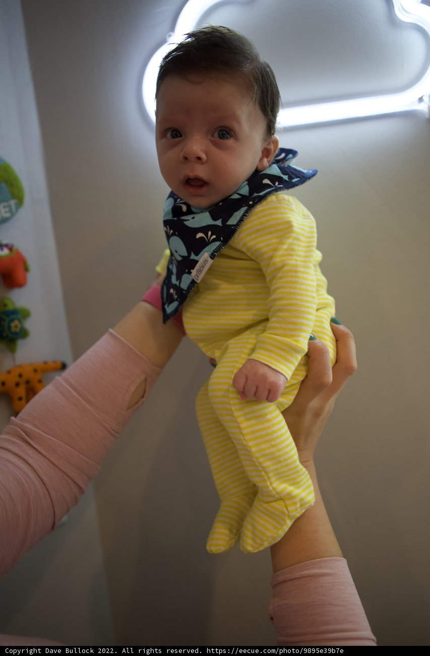 Embracing Innocence: Wesley at 2 Months
