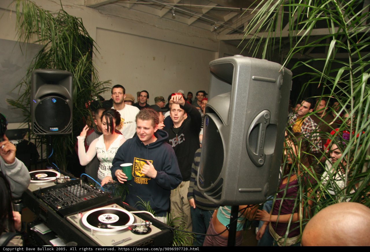 DJ Performance at Club Event