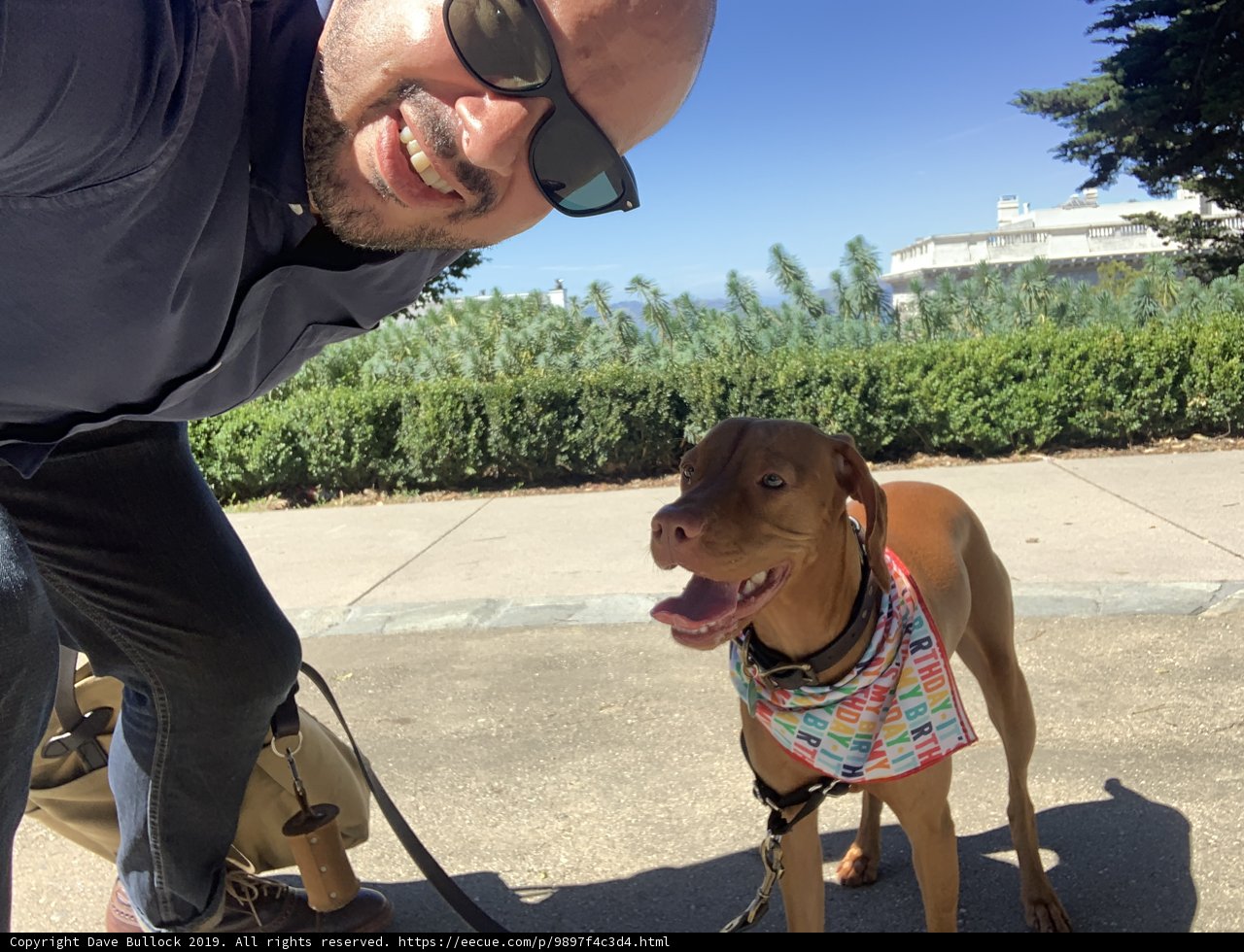 Selfie Time with My Furry Best Friend