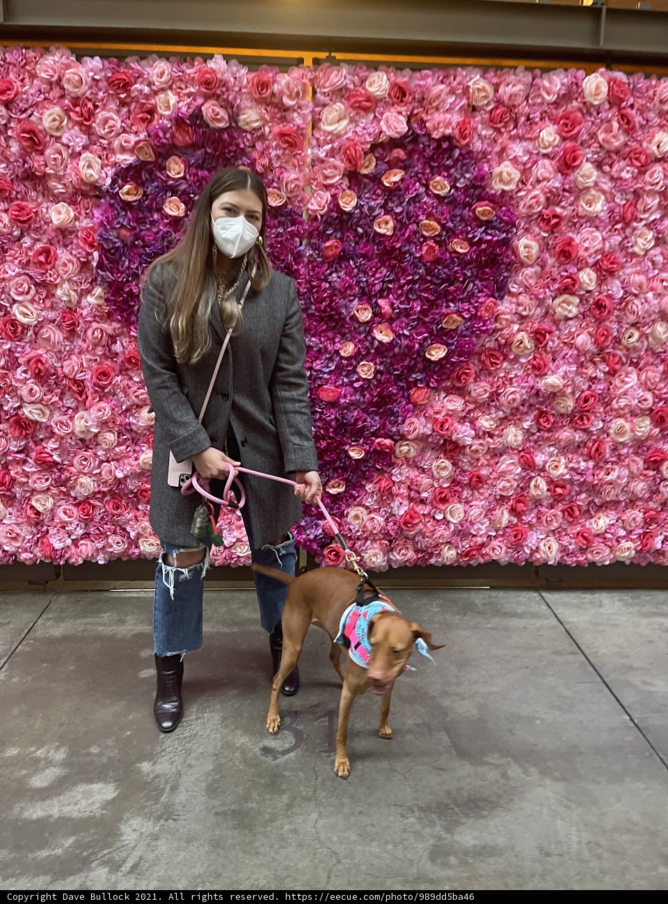Rose Wall Pals