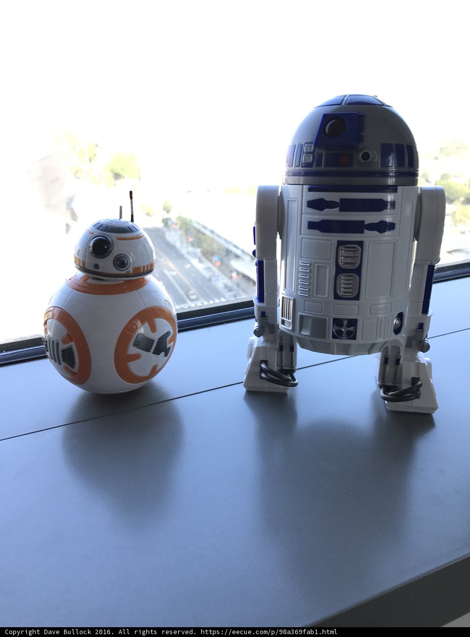 Robotic Companions