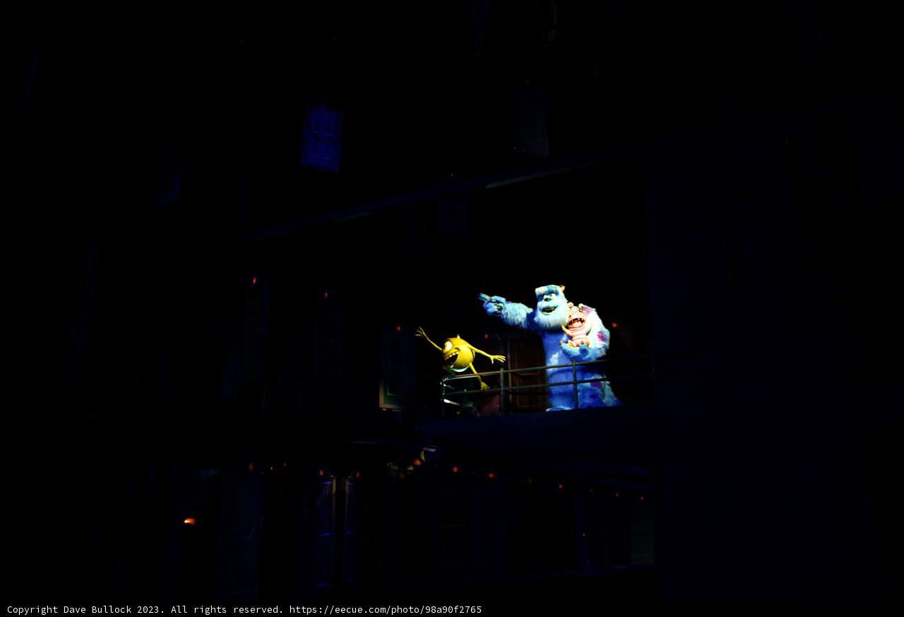 A Magical Wedding Night at Disneyland