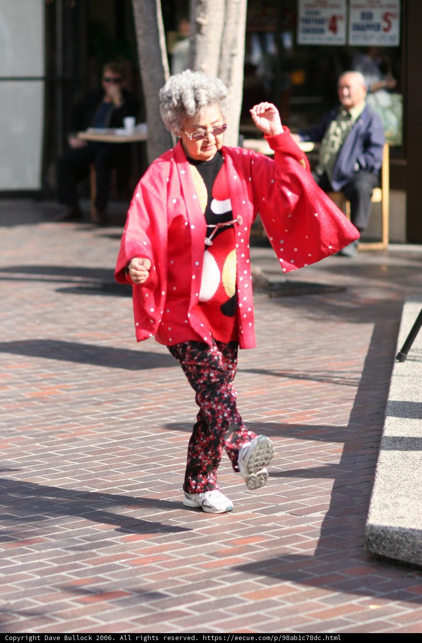Elegant Walk in Little Tokyo