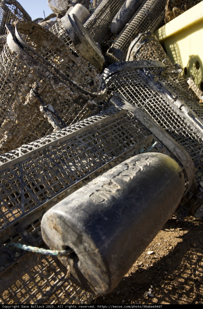 The Art of Trapping - Hog Island's Beach Scene