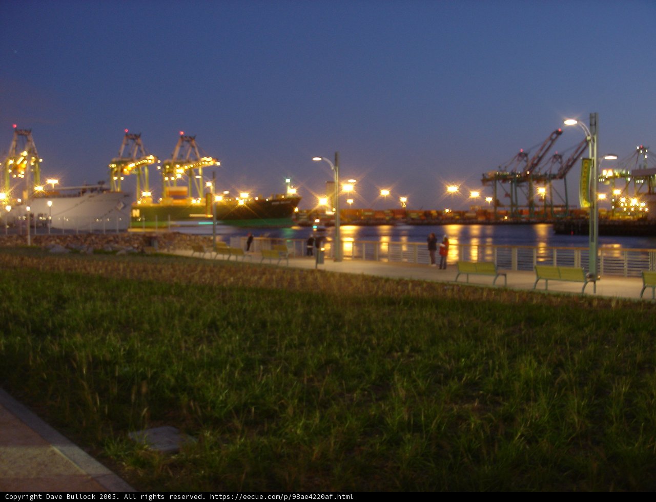 Vibrant Waterfront Construction