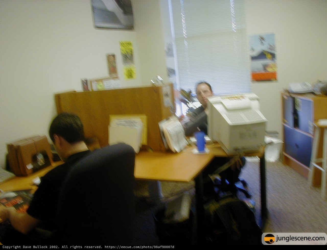 Working Hard at the Desk