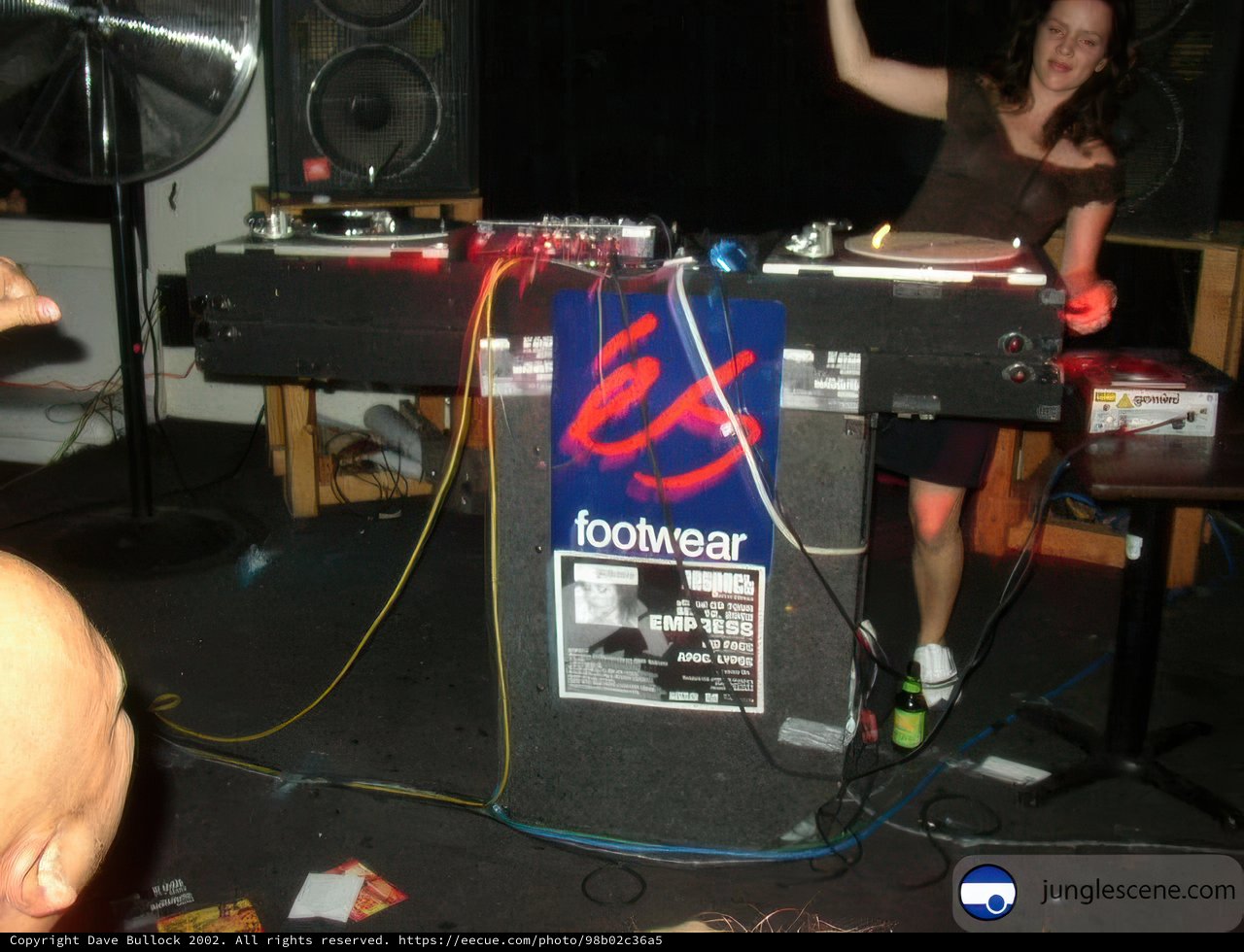 DJ Lady in Action