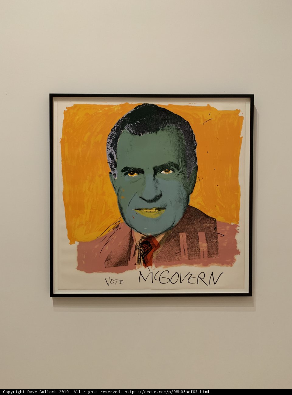 Richard Nixon's Smiling Portrait
