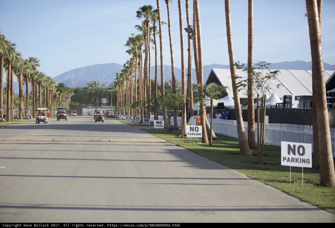 Palm Tree-Lined Street with No Parking Signs