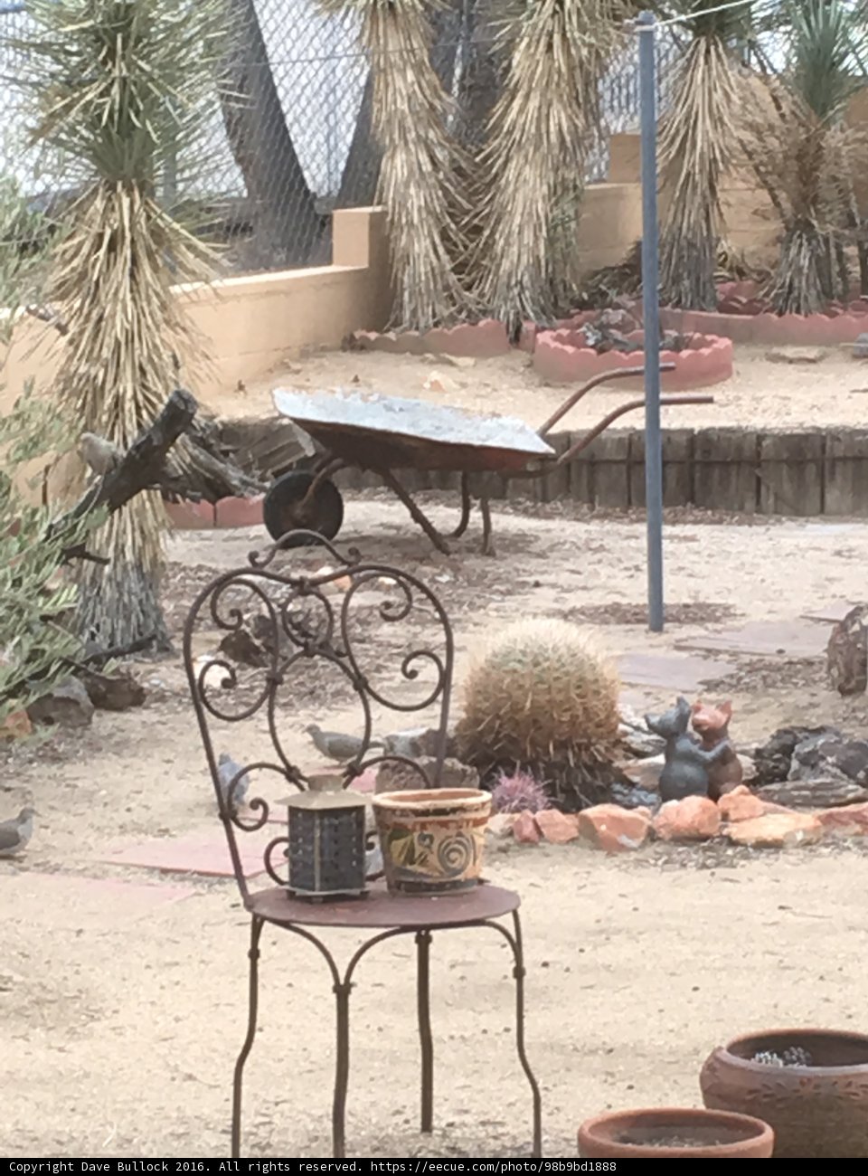 Lone Cactus and Desert Chair