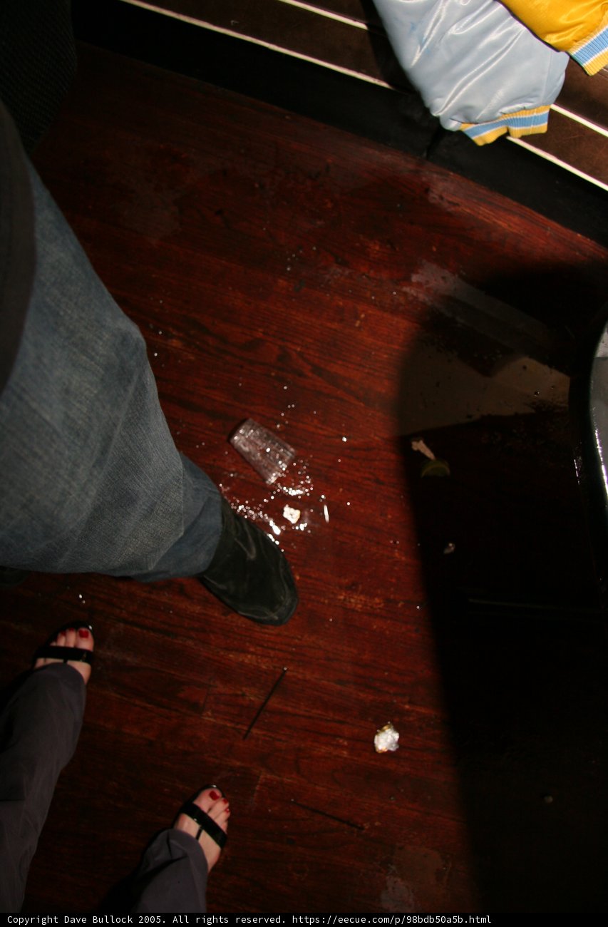 The Wooden Floor with a Toilet Seat