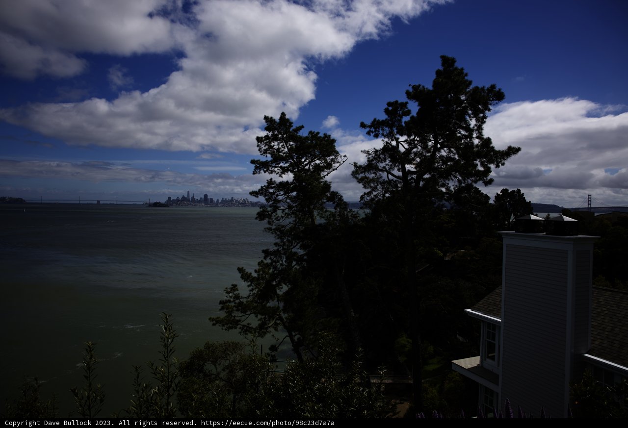 Tiburon Bay Haven
