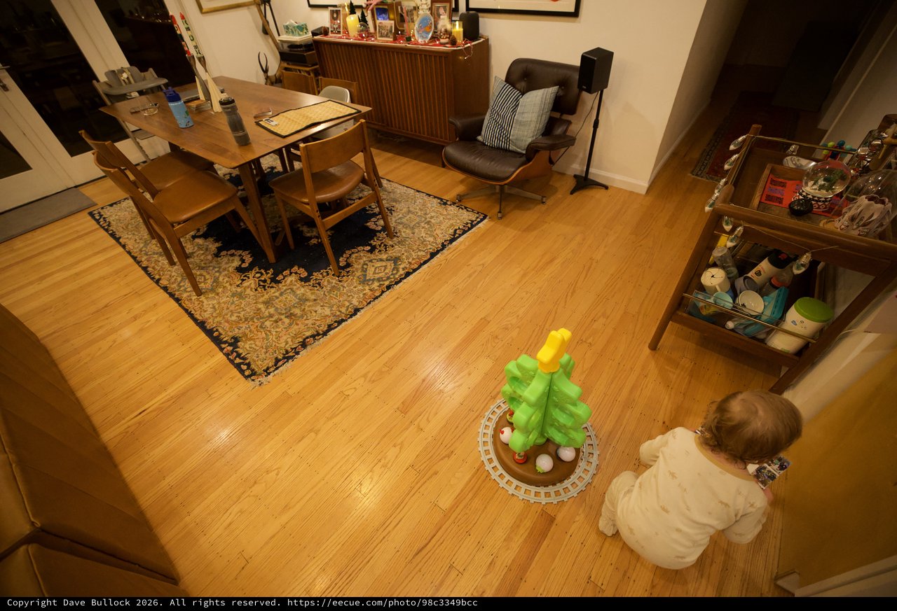 Toddler Playing with Christmas Tree Toy in Living Room