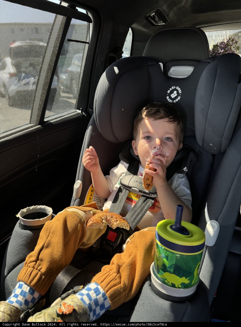 Morning Delight on the Go