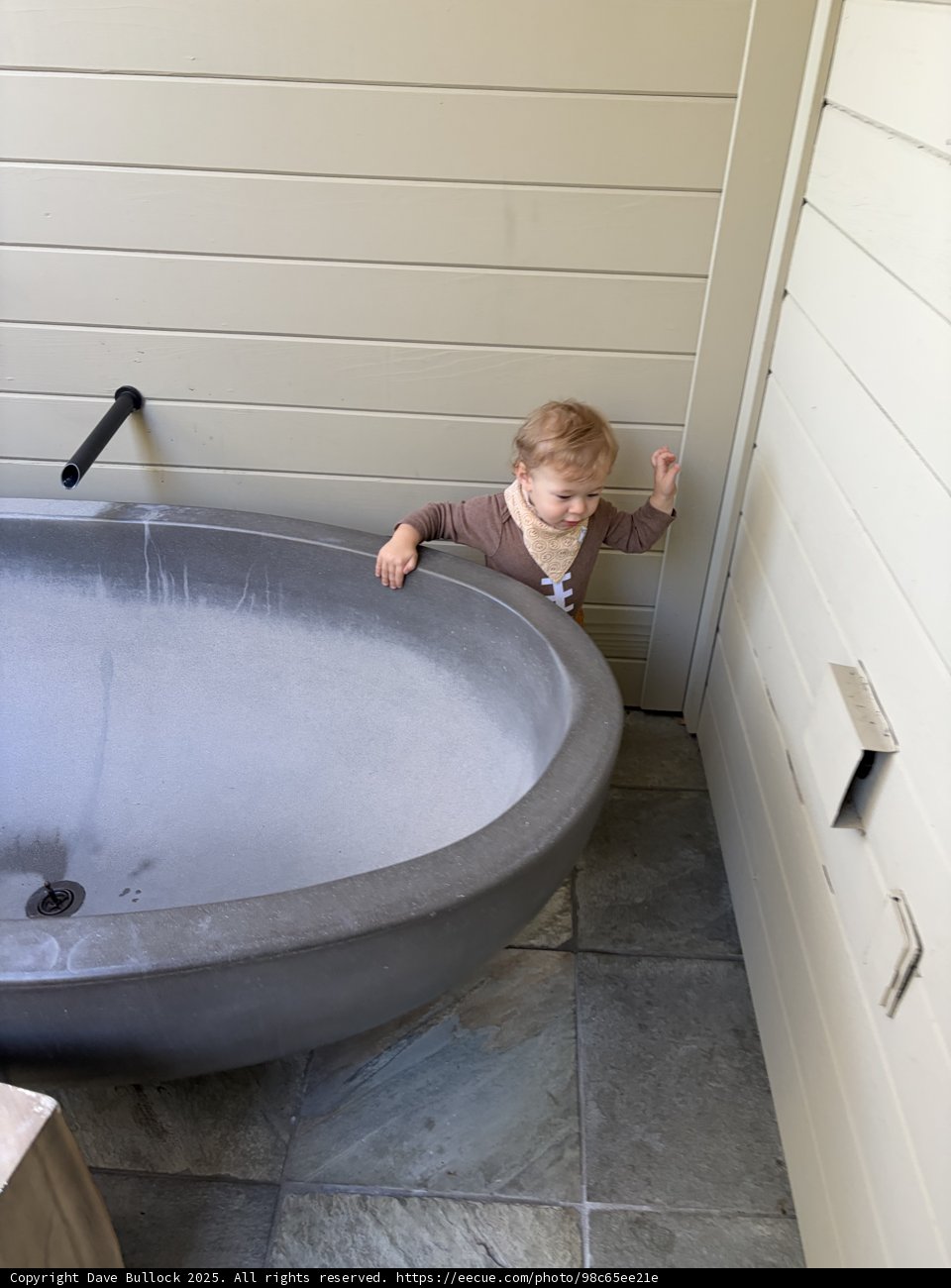 Curious Explorations