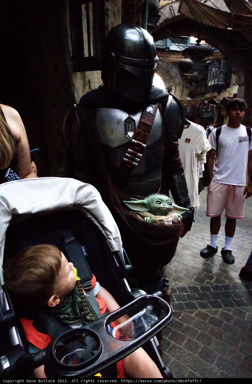 Magical Adventure in Disneyland