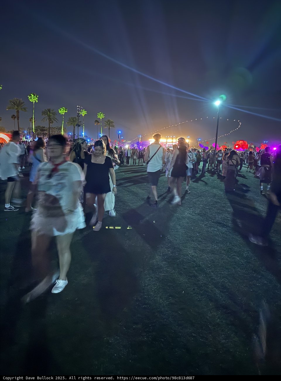 Vibrant Night Under the Palm Trees