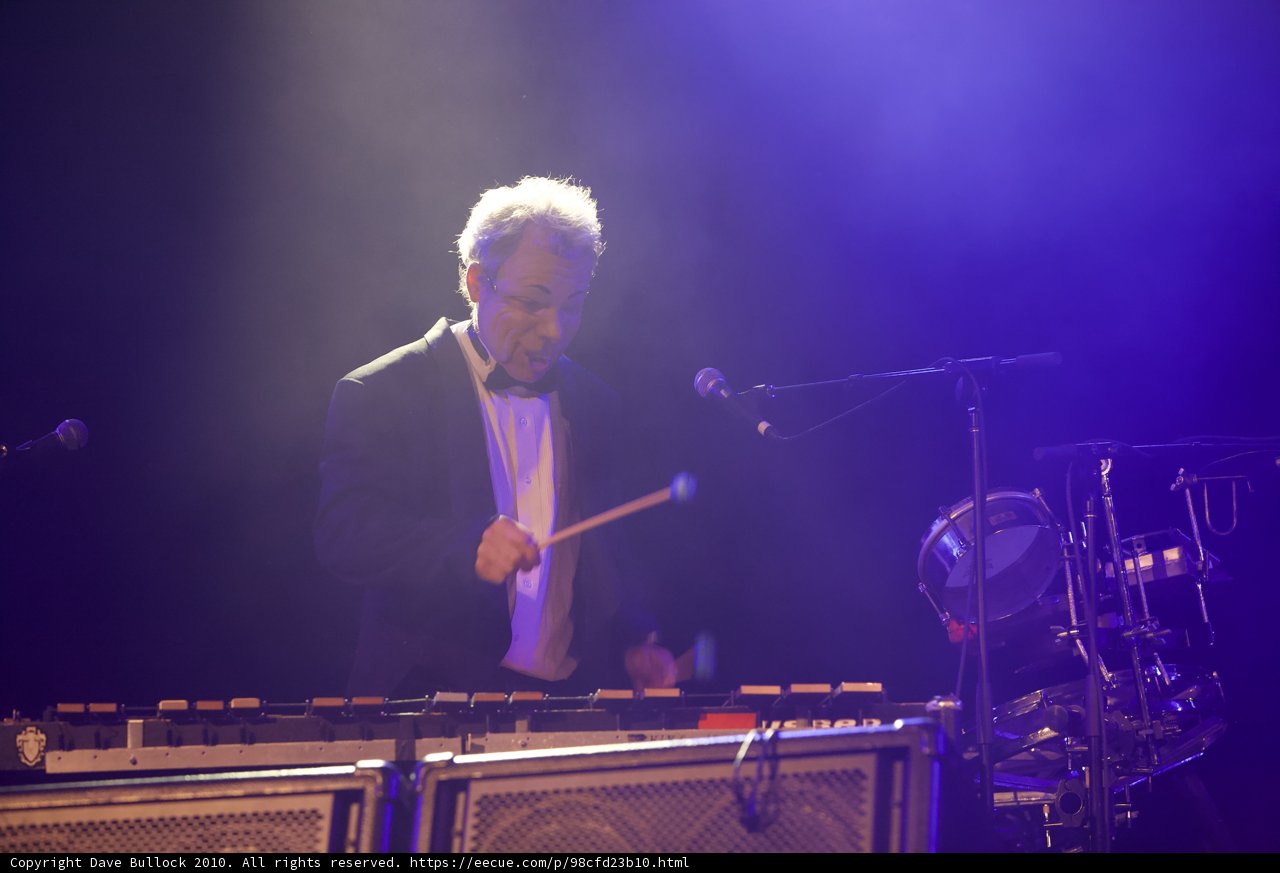 Suit-ed Musician Rocks the Crowd