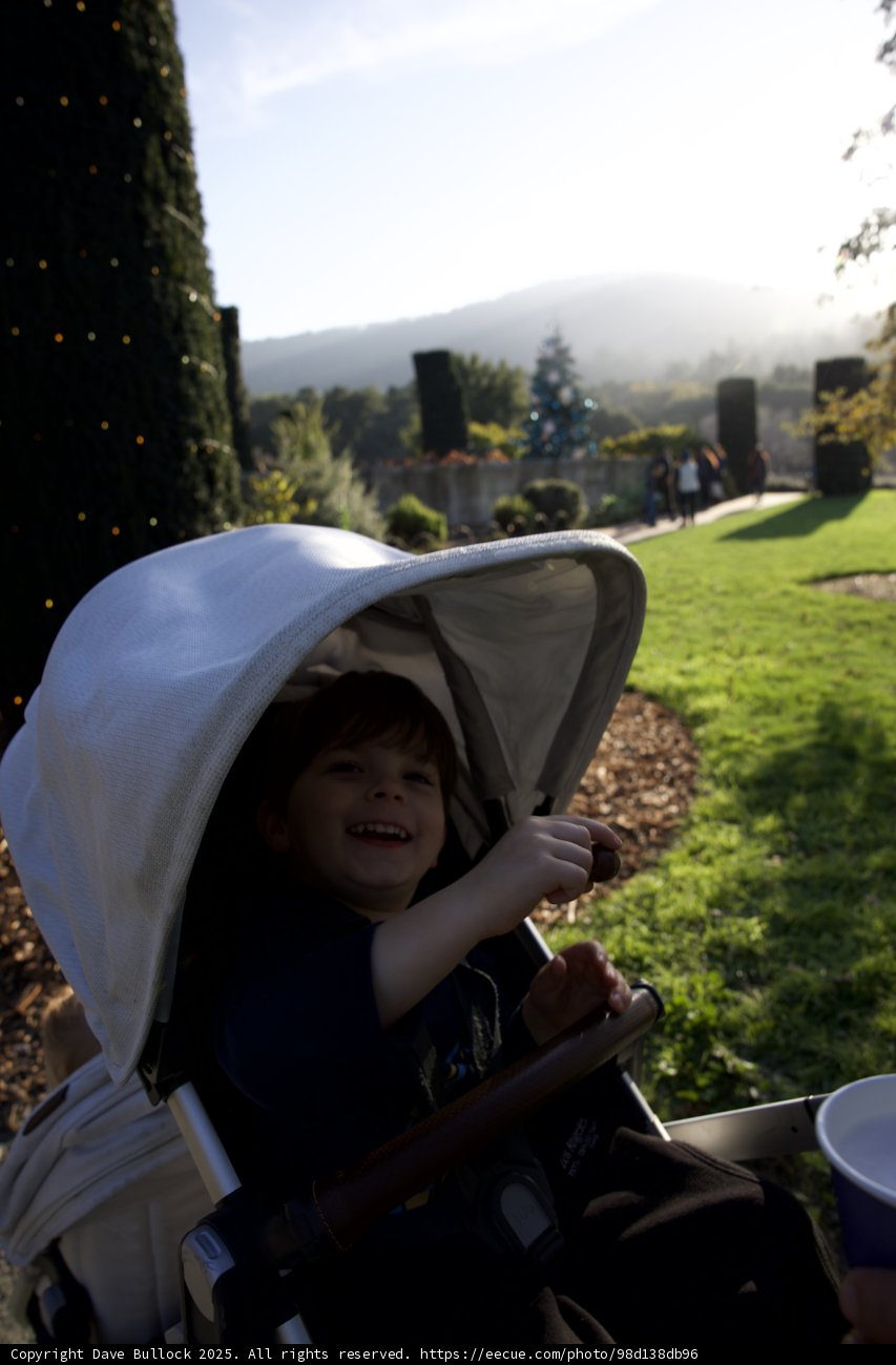 Wesley's Joyful Stroll Through Filoli at Thistlewyck