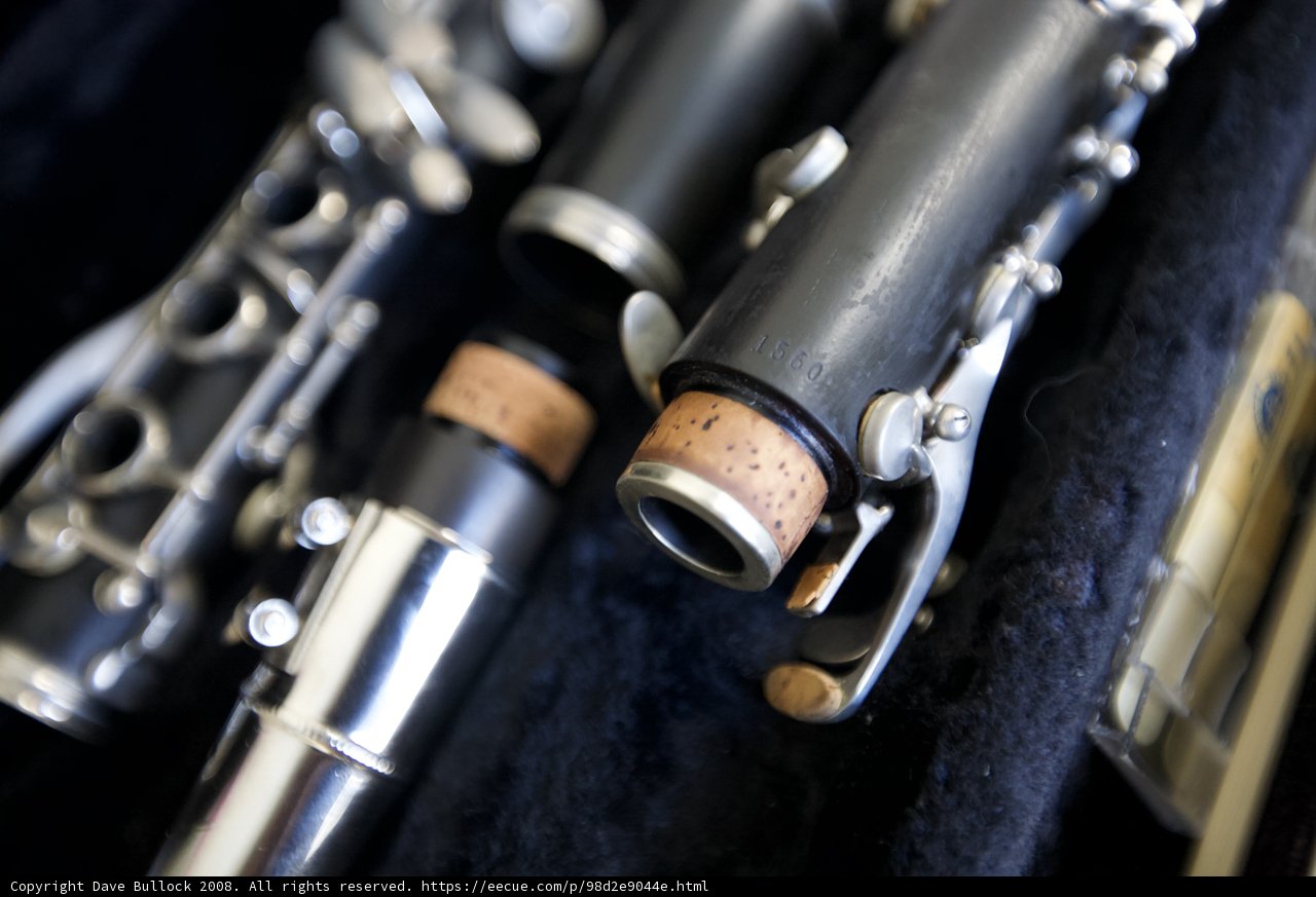 Elegant Selmer Clarinet Resting on its Case