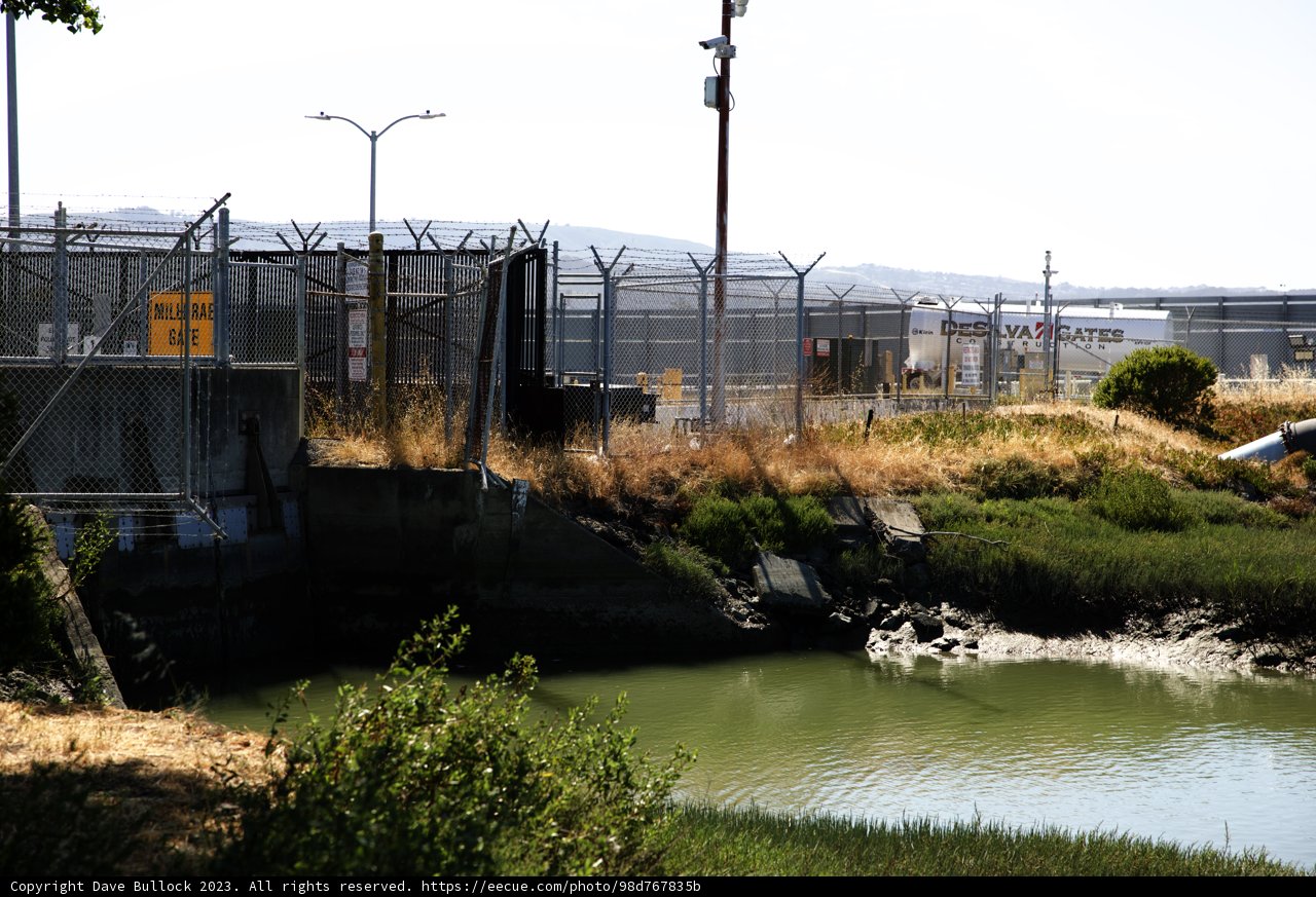 Tranquil Waters at Bayfront Park, Millbrae