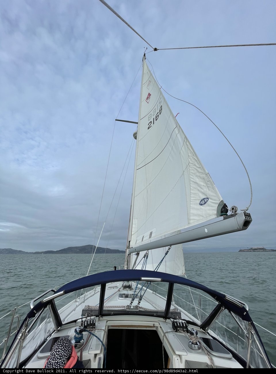 Sailing in the Bay