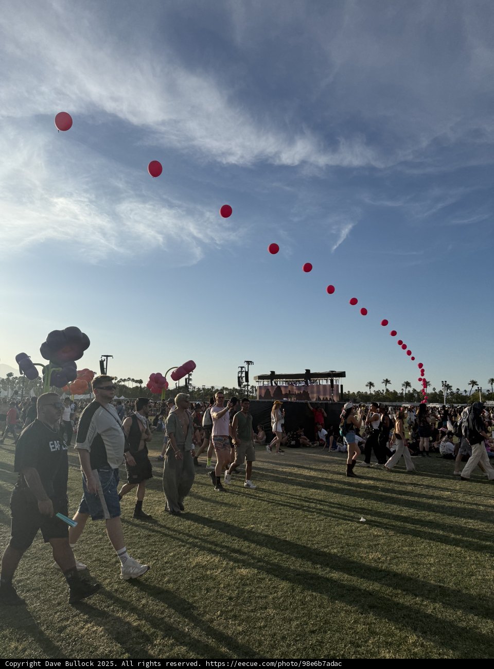 Festival Vibes Under the Desert Sky