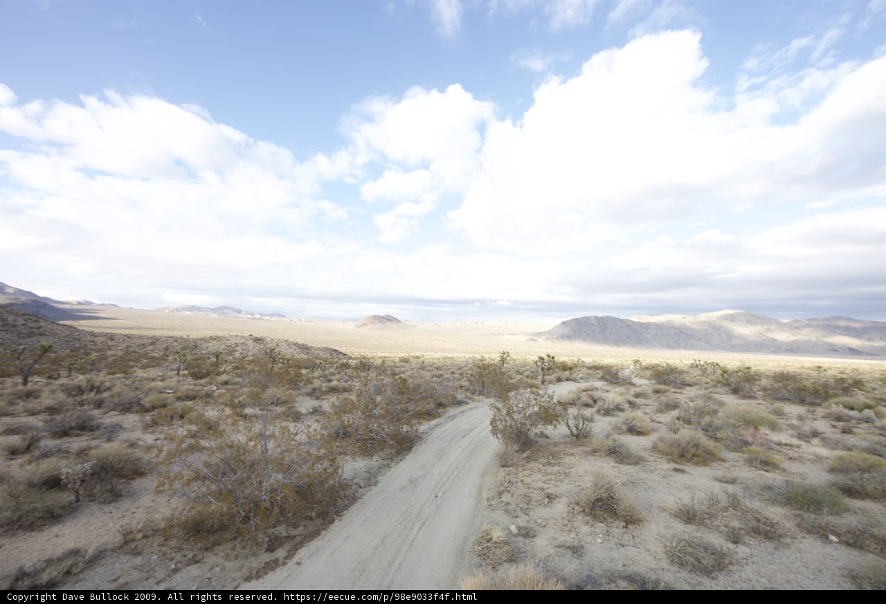 Scenic  Road in the Joshua Tree Desert