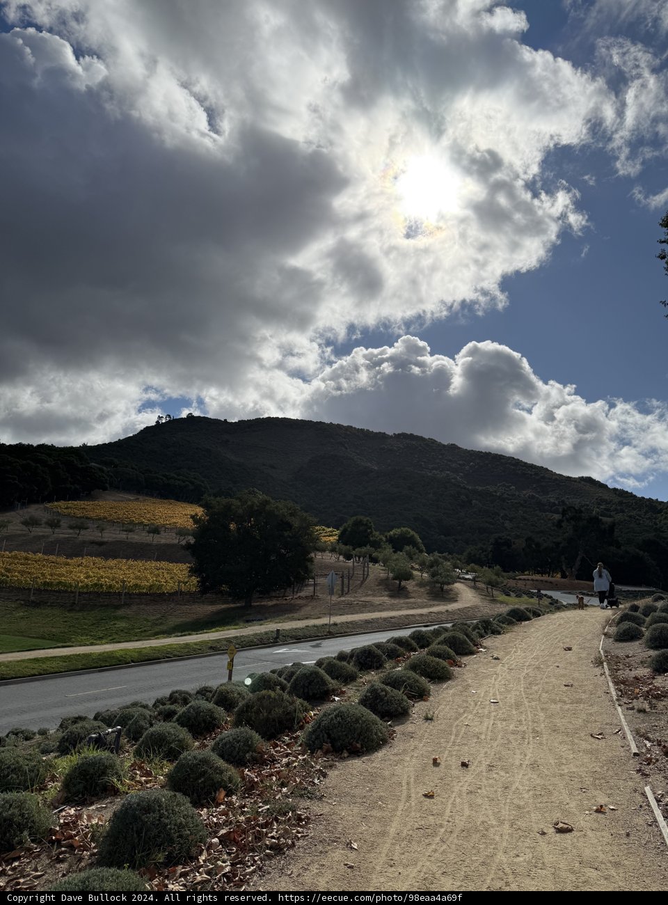 Journey Under the Clouds