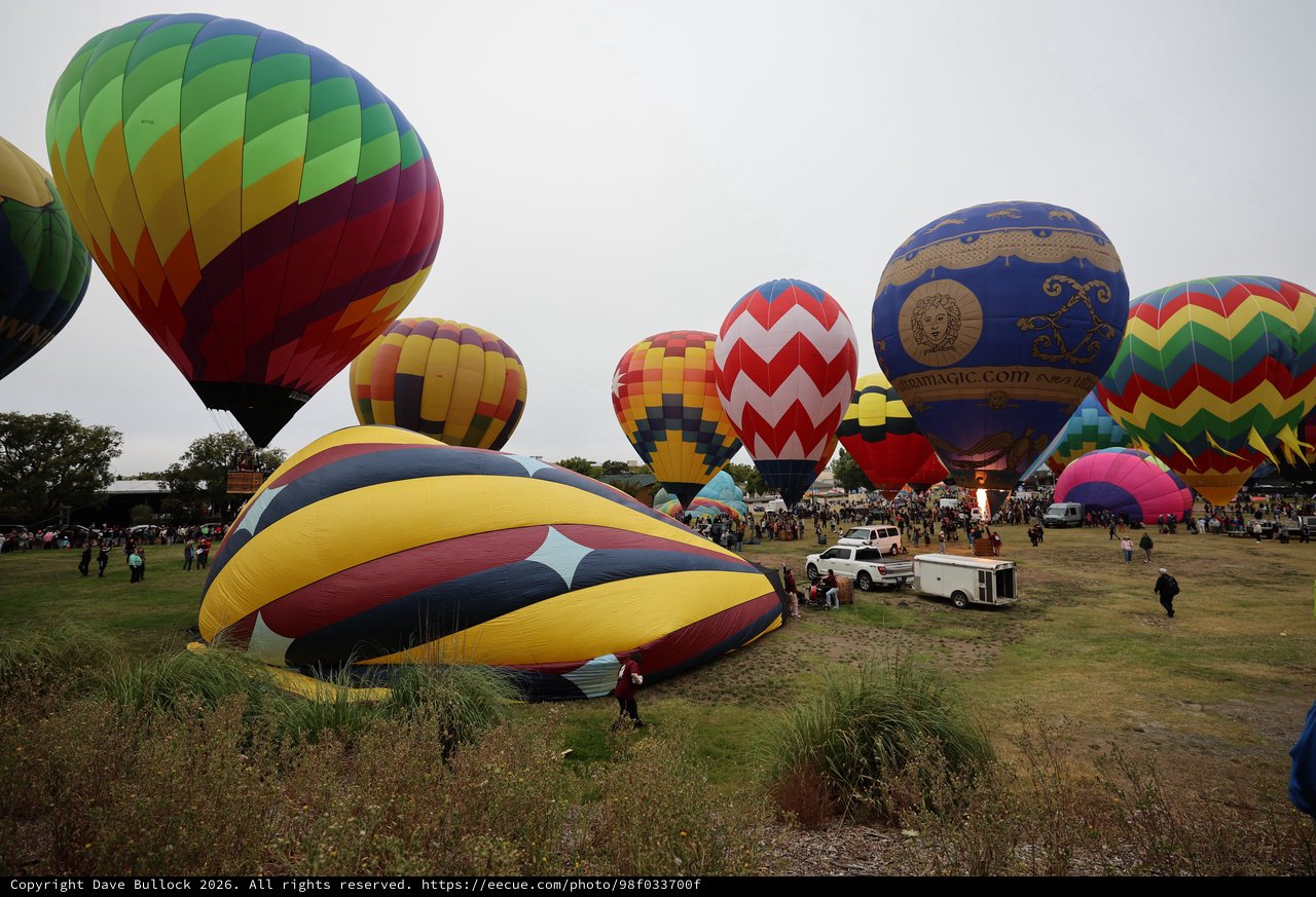 Colorful Hot Air Balloons Rising at Sonoma Classic