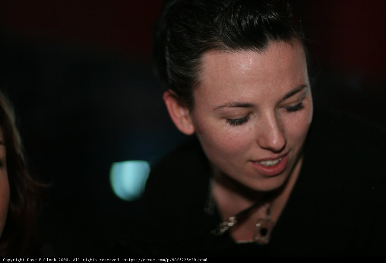 Bride's Happy Portrait