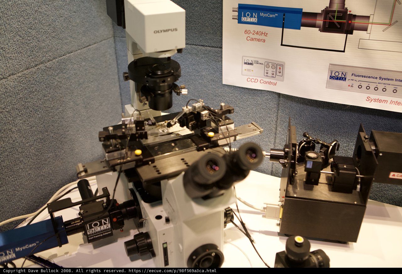 The Intricate Machinery of Biophysics
