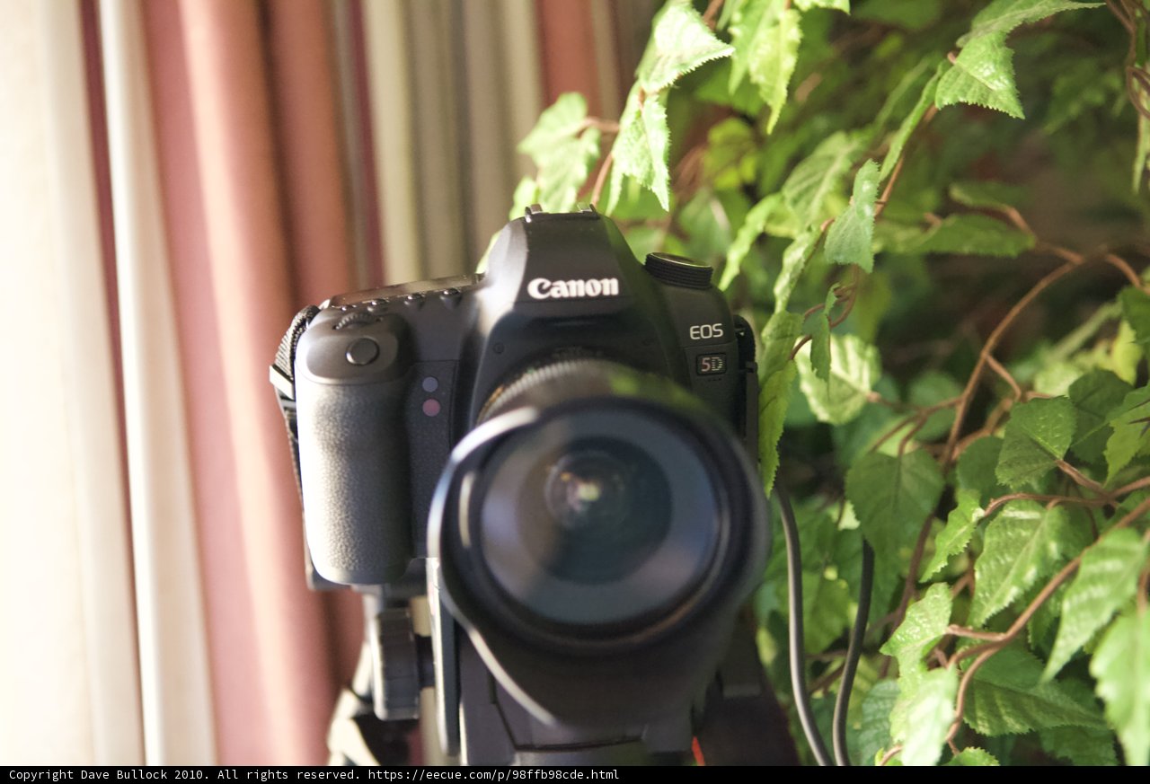 Capturing Nature's Beauty with Canon EOS 5D Mark II