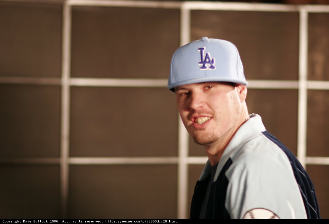 Dodger Fans Unite