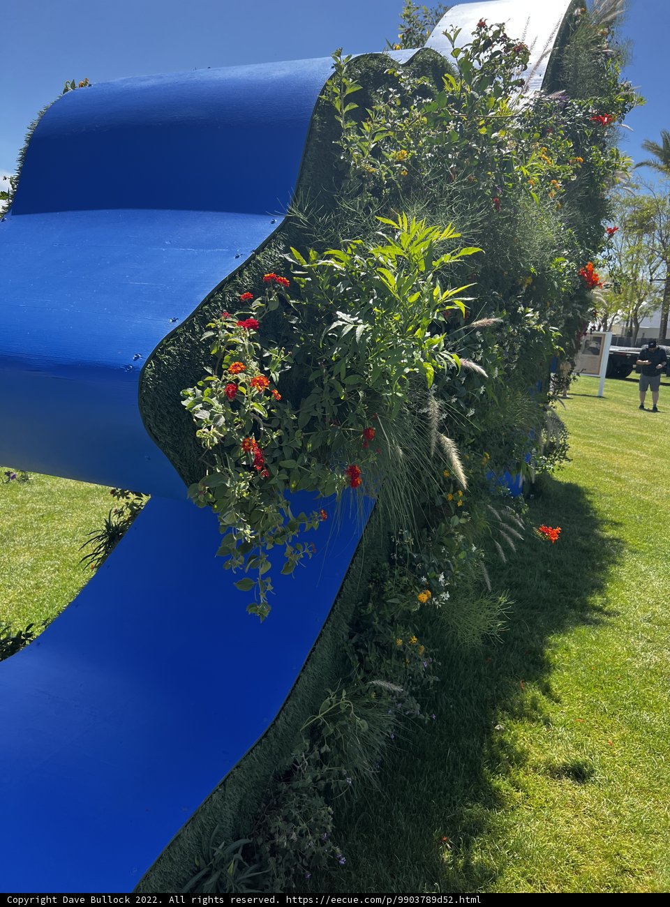 A Slide Full of Flowers