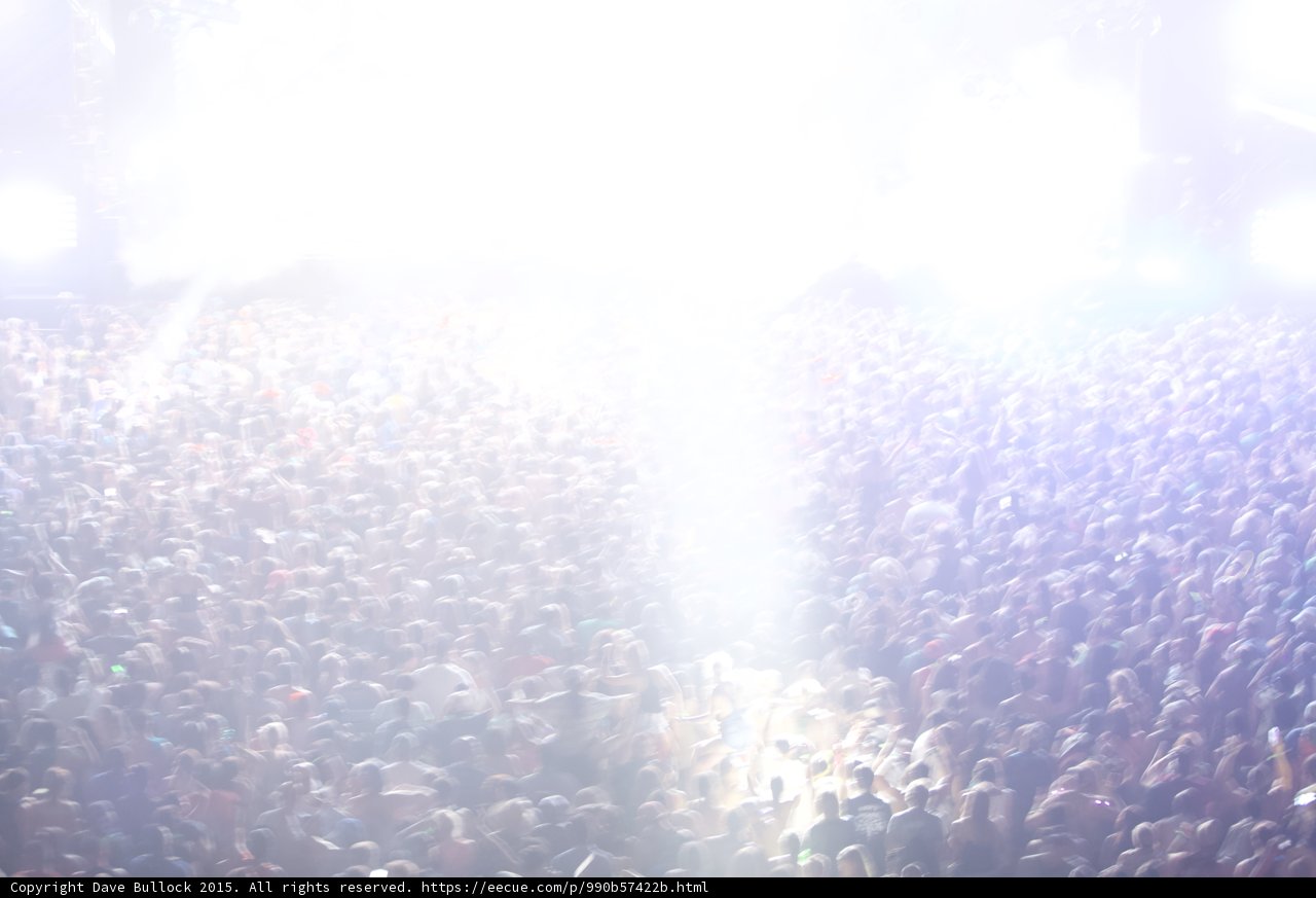 The Electric Crowd at Coachella 2015