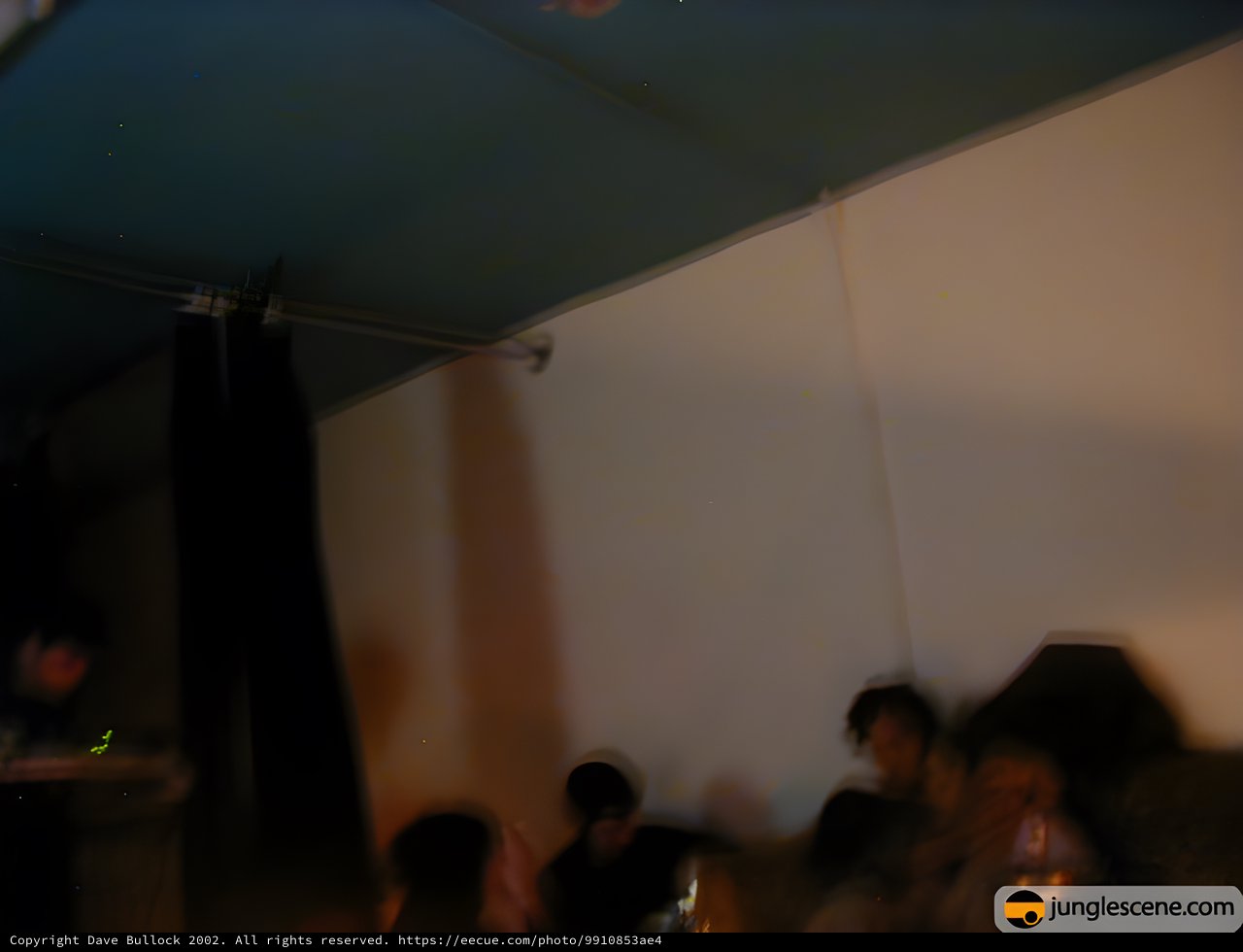 Blurry Indoor Event Scene from 2002