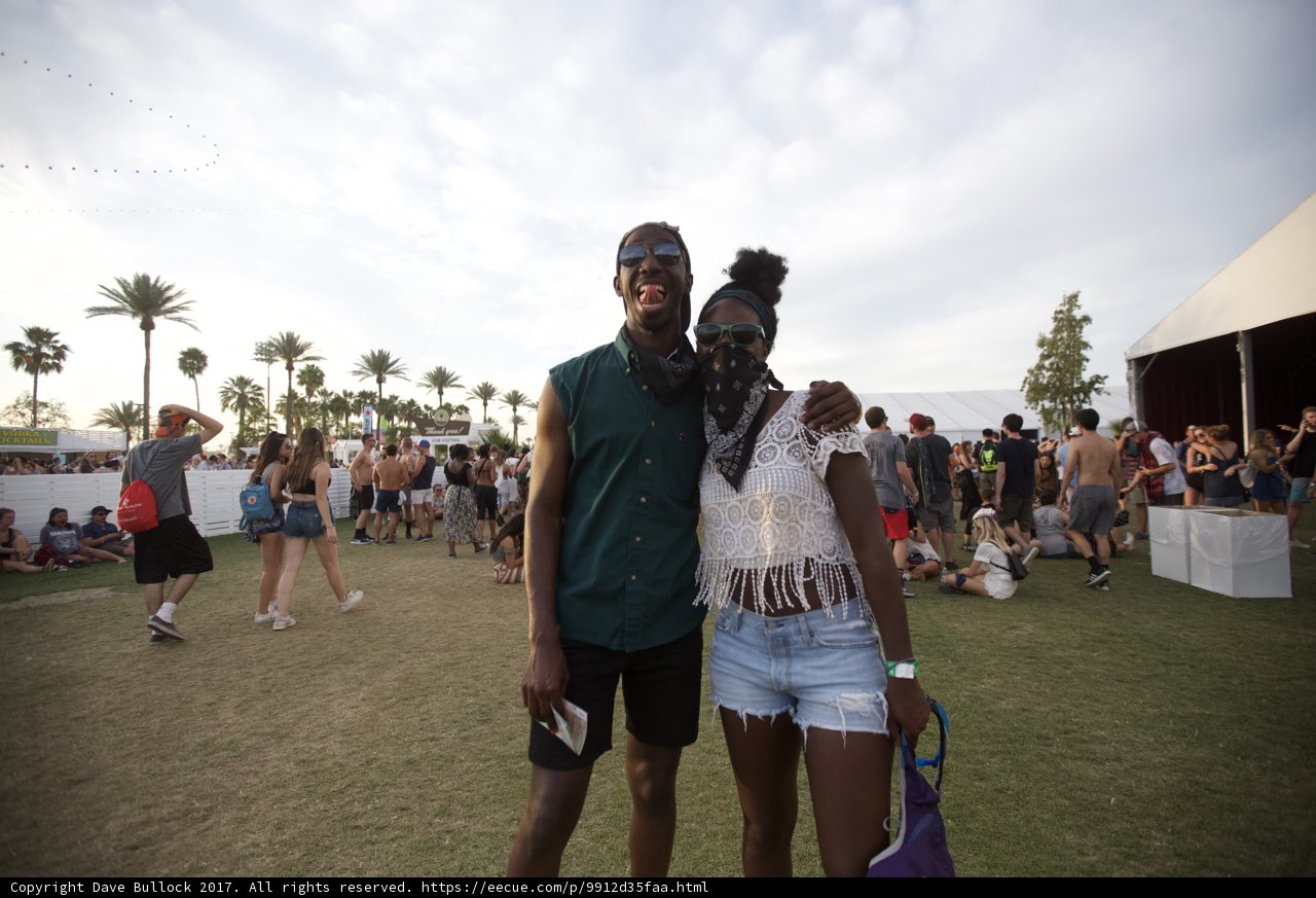 Festival Fun