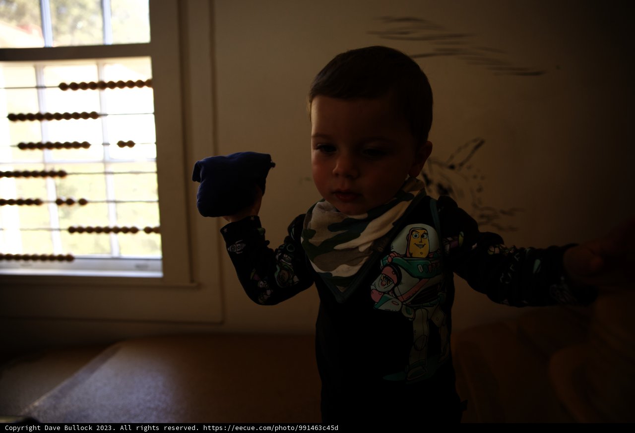 Young Adventurer in Play