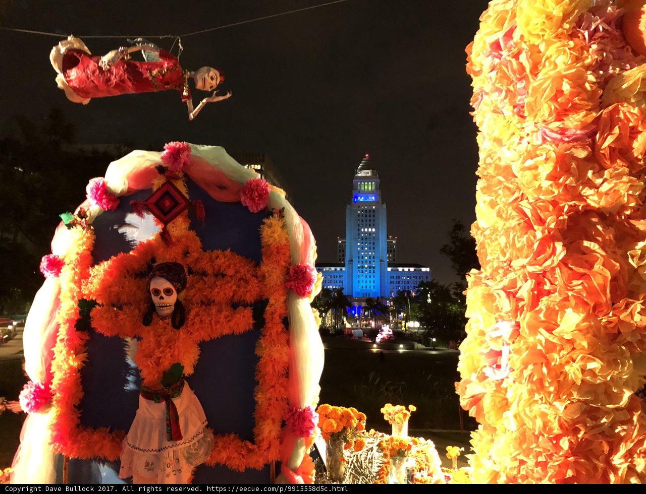 Festival of Flowers