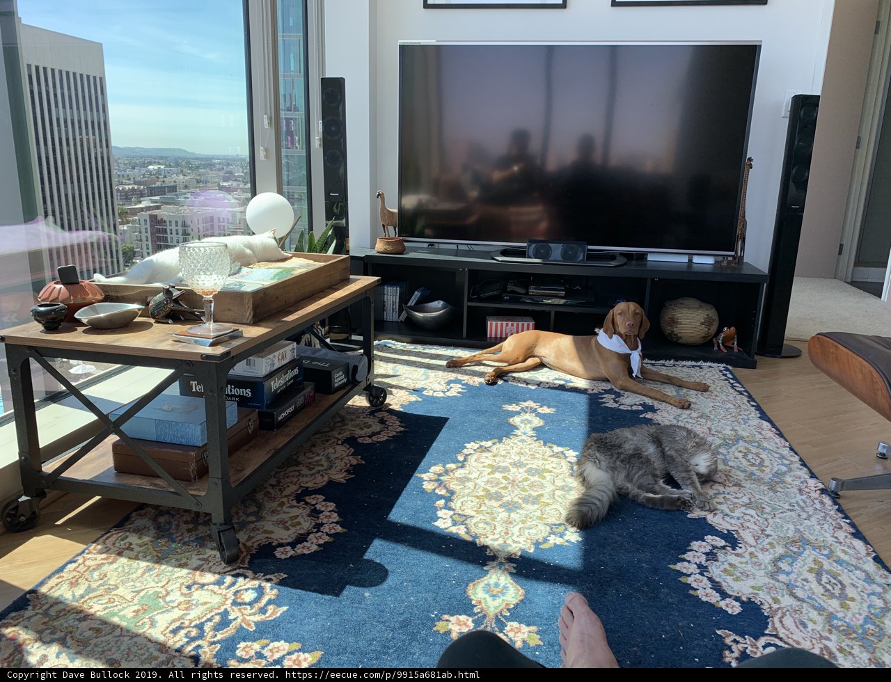 The Ultimate Entertainment Center
