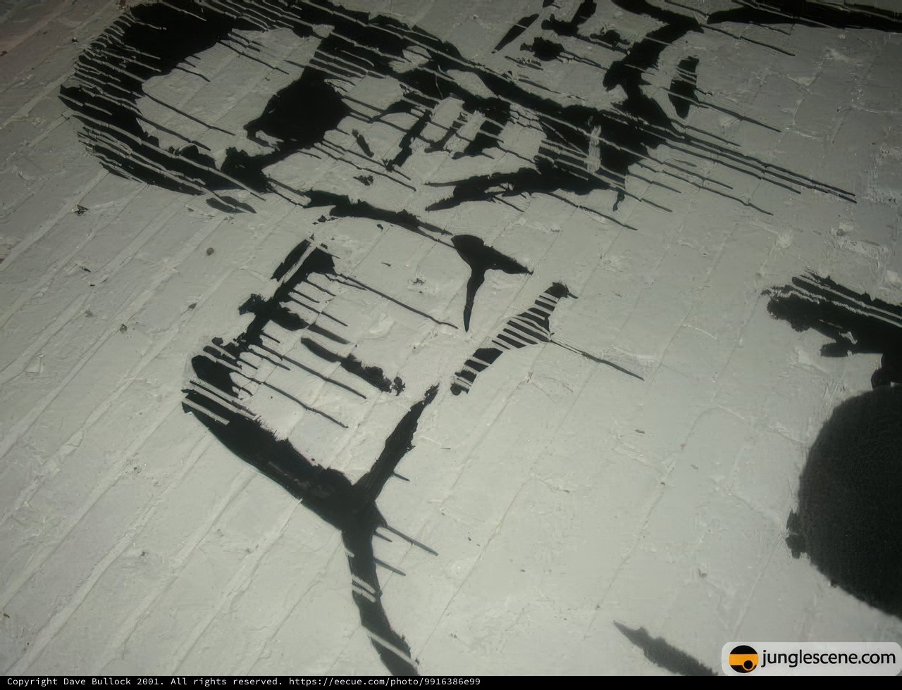 Street Art: The Gunman