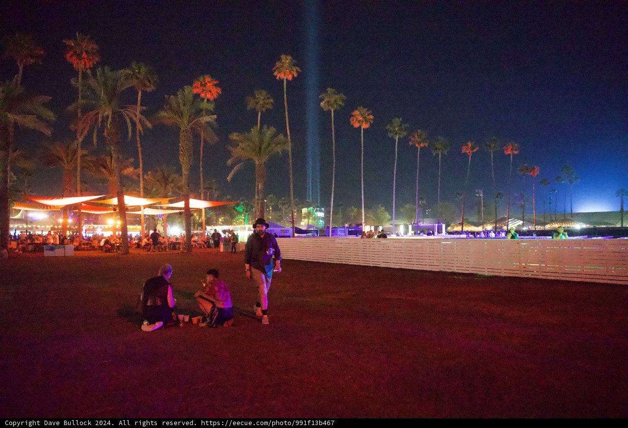 Night Vibes at Coachella 2024: Palm Trees and Festival Lights