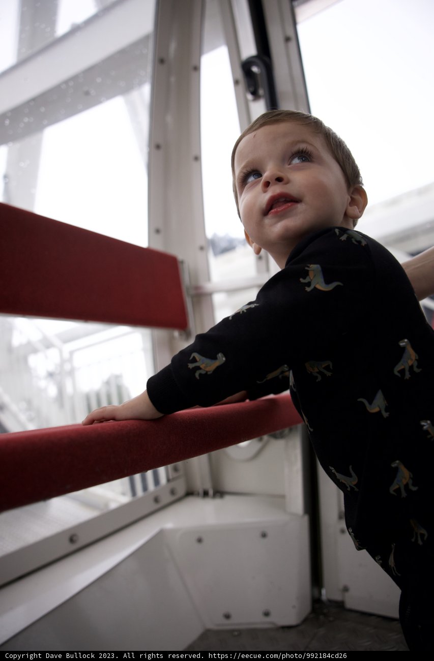 Reaching for Heights: Young Wesley's Ambitious Spirits